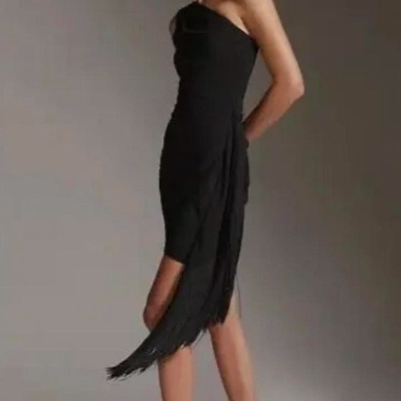 HUTCH Ruched Fringe Mini Dress Size XL - New w/tags - Picture 3 of 4